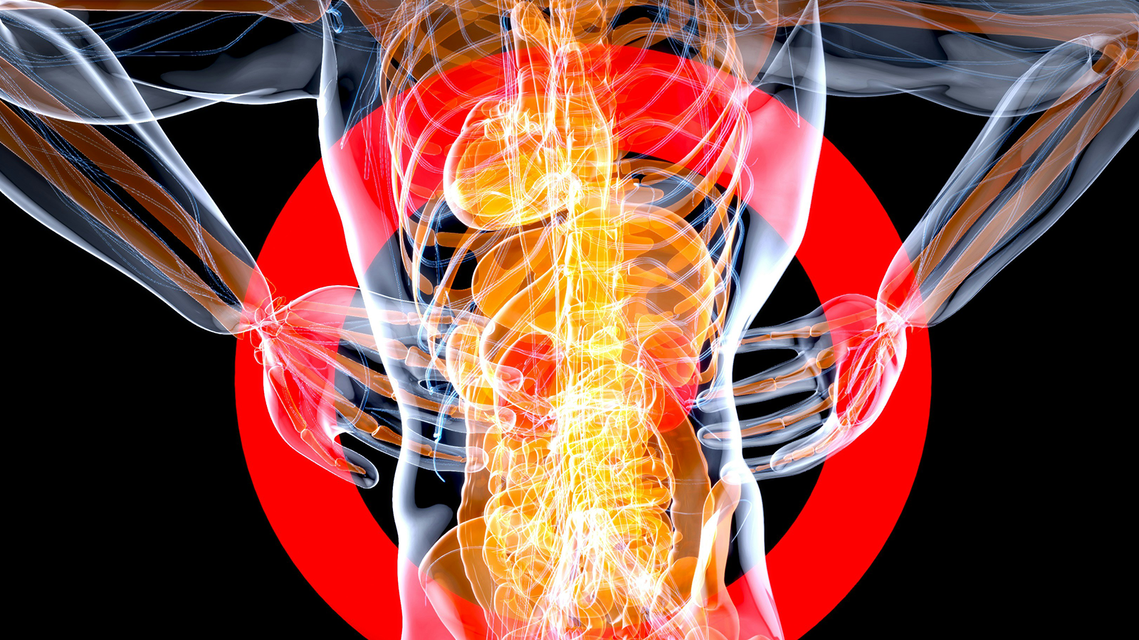 Igiene vertebrale: prevenzione delle patologie muscolo-scheletriche